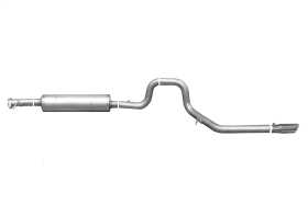 Cat-Back Exhaust System 319998